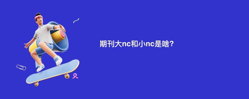 期刊大nc和小nc是啥?