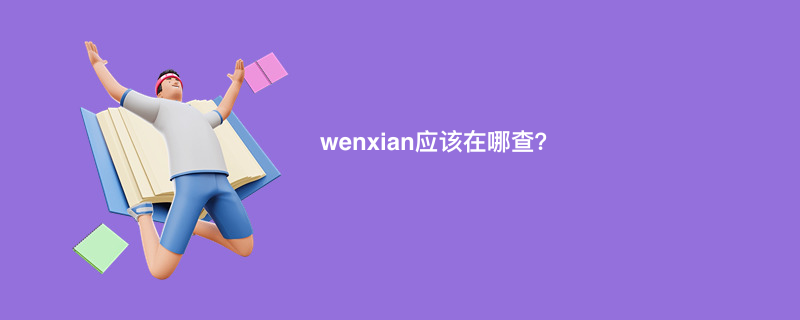 wenxian应该在哪查？