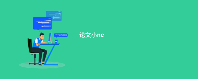 论文小nc