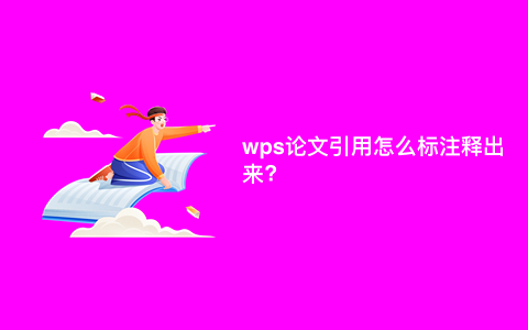 wps论文引用怎么标注释出来?